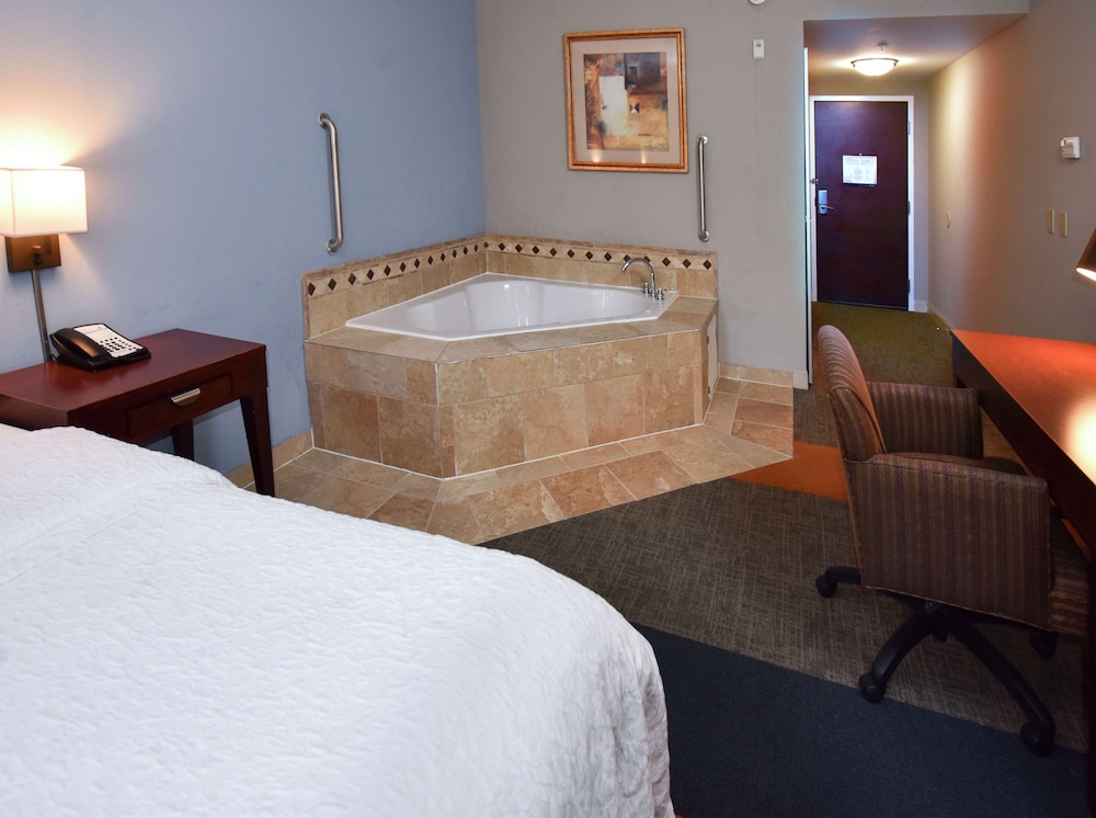 Hampton Inn Alexander City - photo 15