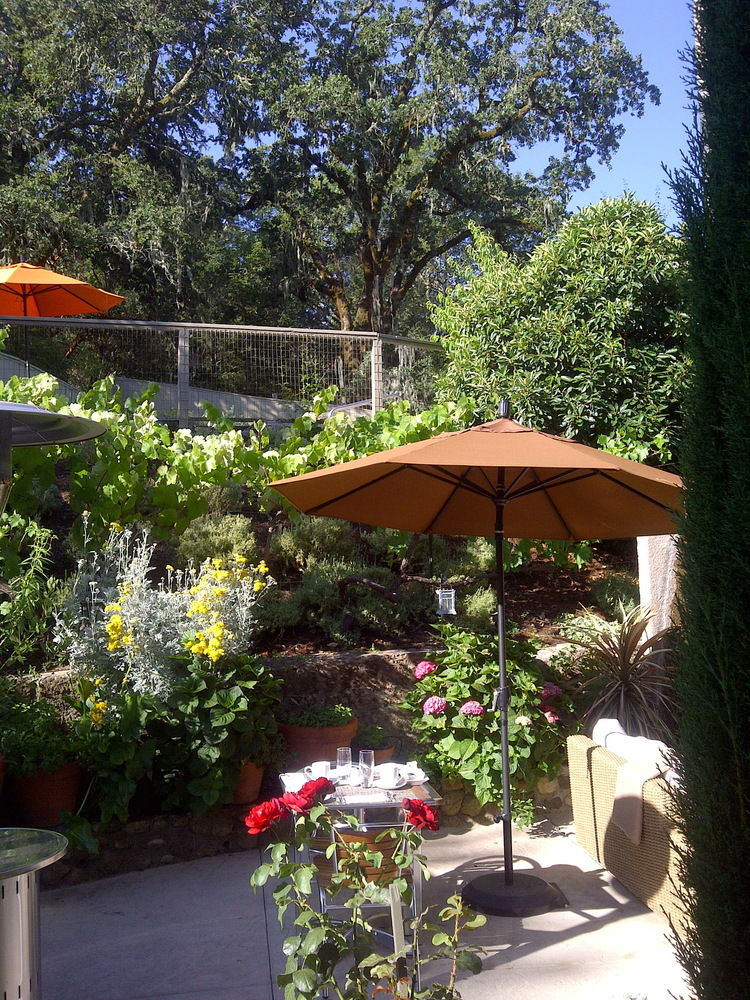The Chanric Inn - photo 17