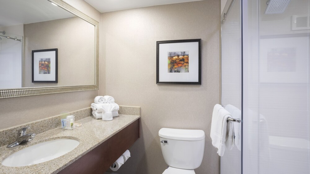 Holiday Inn Cincinnati Riverfront by IHG - photo 5