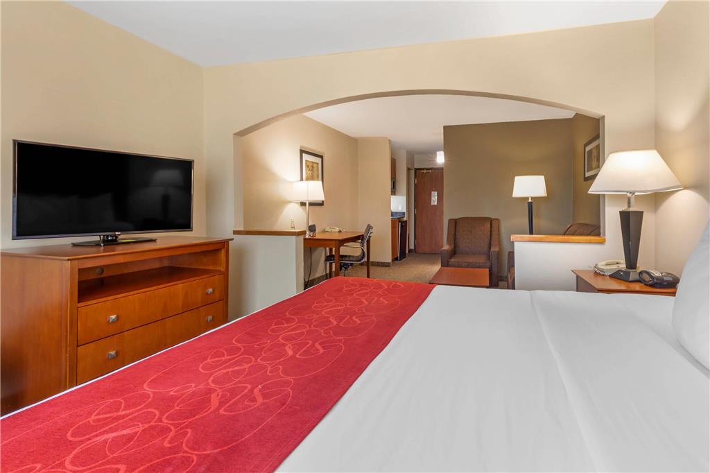 Comfort Suites North Dallas - photo 20