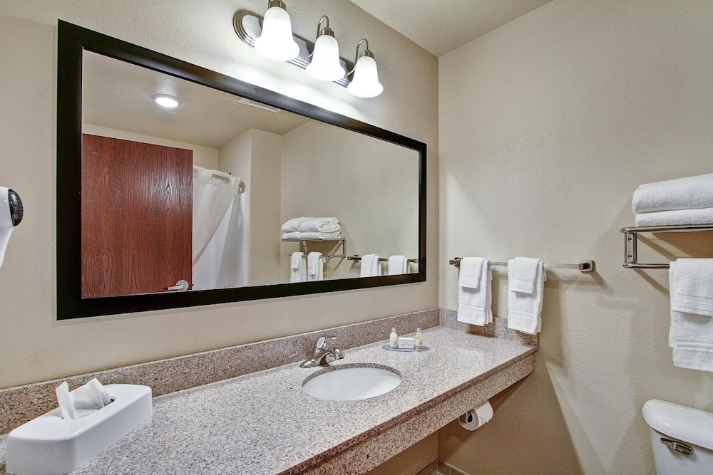 Castle Rock Inn & Suites - photo 36
