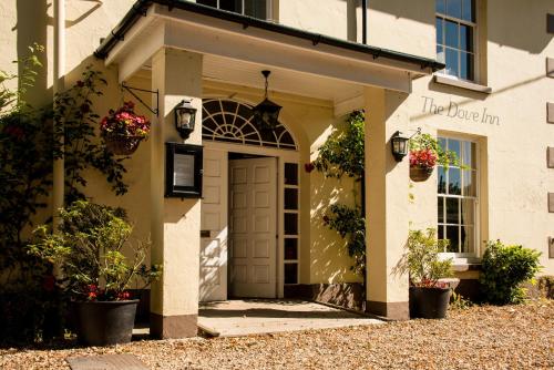 The Dove Inn — Winchester