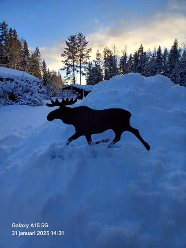 Bispgården Paradis in Unknown City, Sweden