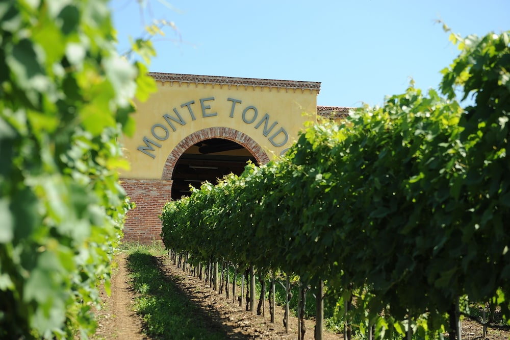 Monte Tondo — 4-Star Luxury Hotel in Soave, Italy