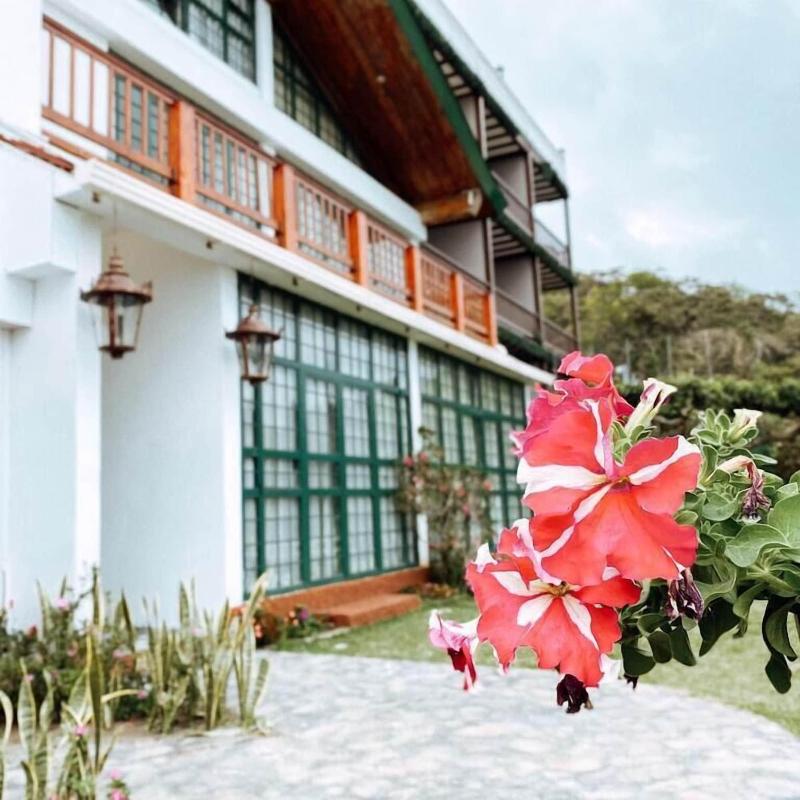 Verdant Hotel & Holistic Experience in Santa Tecla, El Salvador