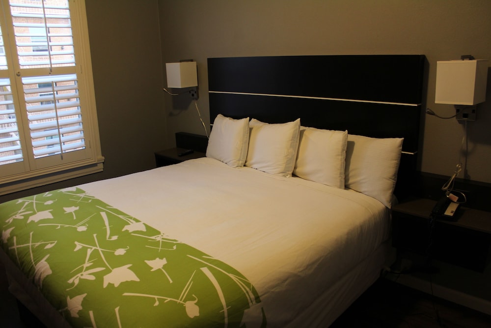 Layne Hotel - photo 11