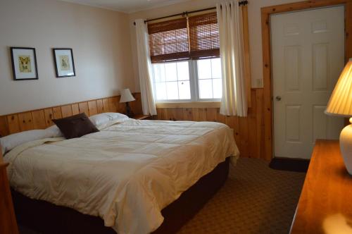 Wiley Inn - photo 4