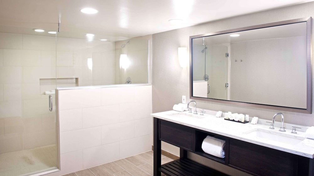 Embassy Suites by Hilton Detroit Livonia Novi - photo 21