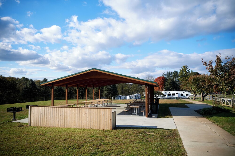 Circle M RV & Camping Resort Caravan Park - photo 39