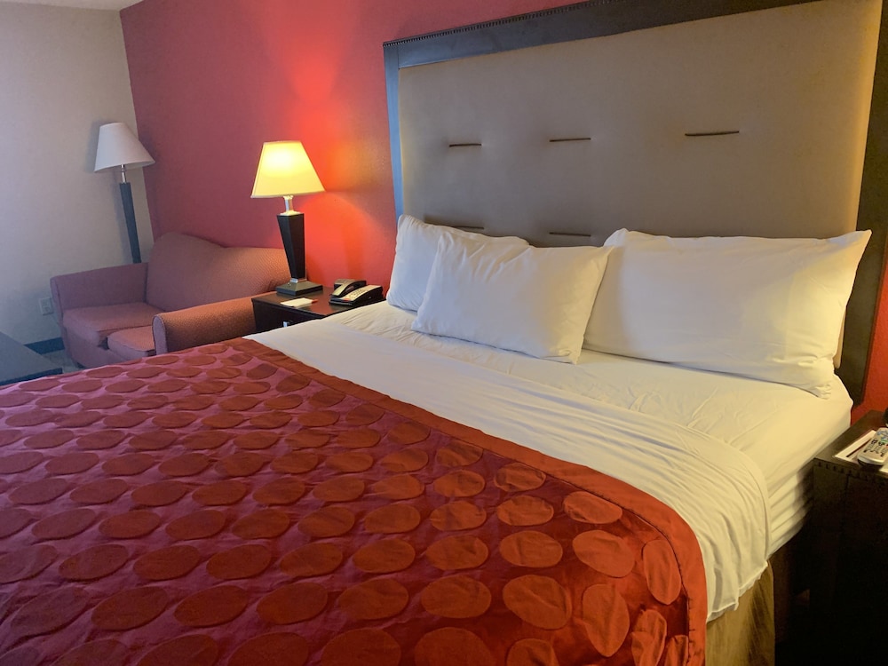 Ramada by Wyndham Gainesville - photo 7