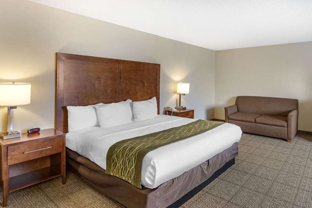 Comfort Inn Denver West Arvada Station - photo 14