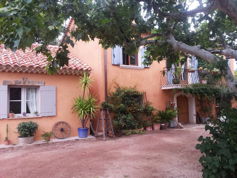 Les anes de petit jean — Pierrefeu-Du-Var — photo 2
