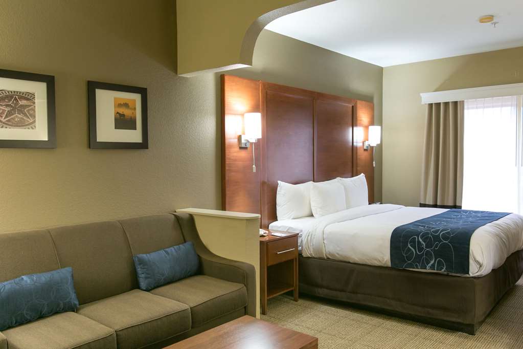 Comfort Suites Austin NW Lakeline - photo 13