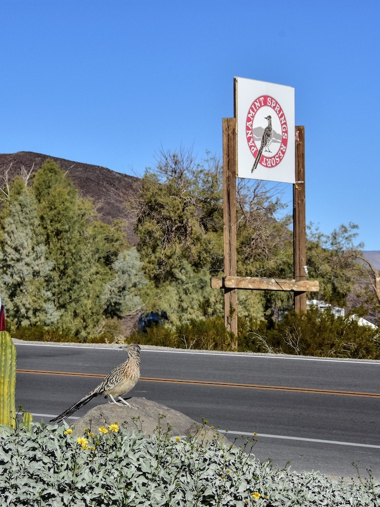 Panamint Springs Resort - photo 73