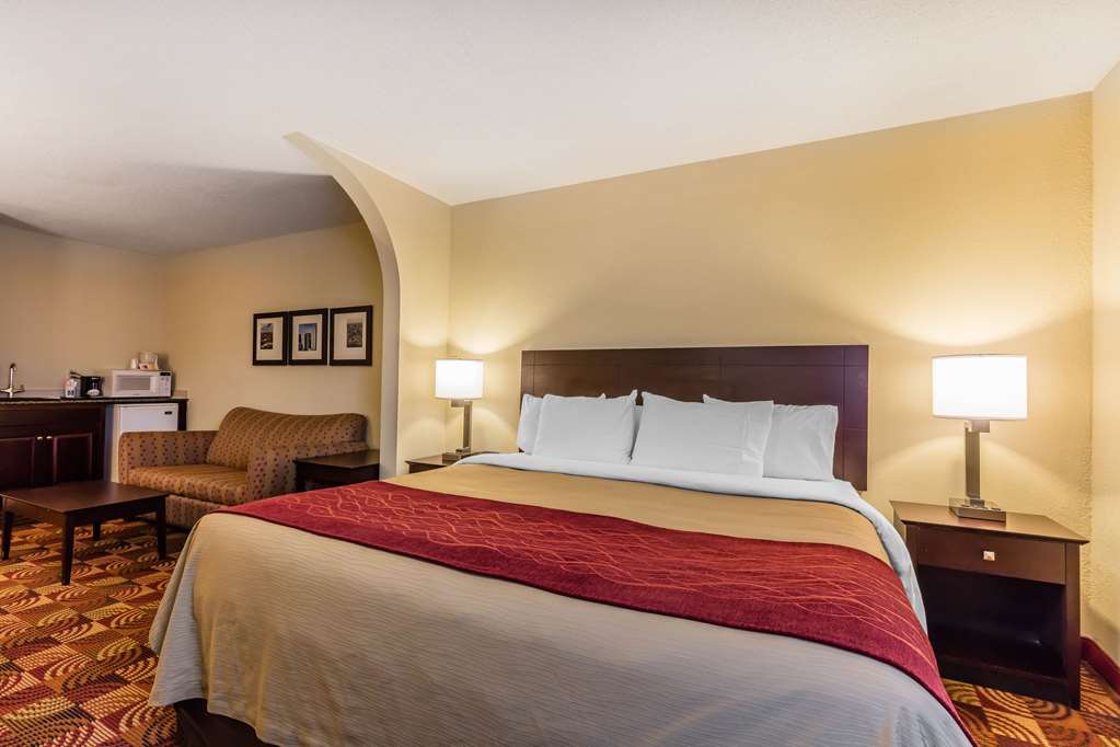 Comfort Inn & Suites Jasper Hwy 78 West - photo 31