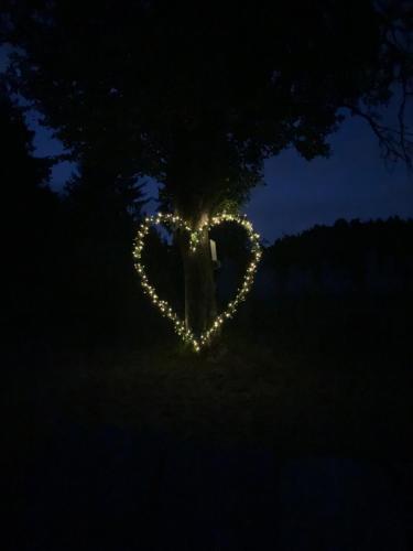 Hillside Bio Resort Apartment with Mountain View in Prebold, Slovenia