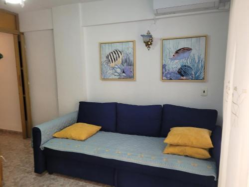 Tiga Muy Cerca de la Plaza de San Antonio in Cullera, Spain