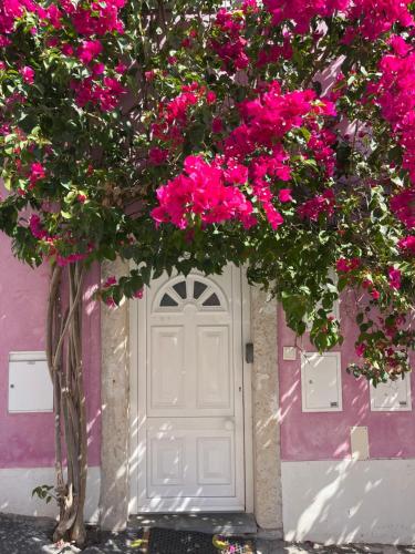 Casa Cor de Rosa