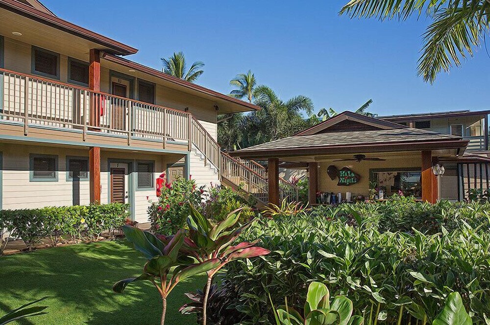 Hale Napili - photo 34