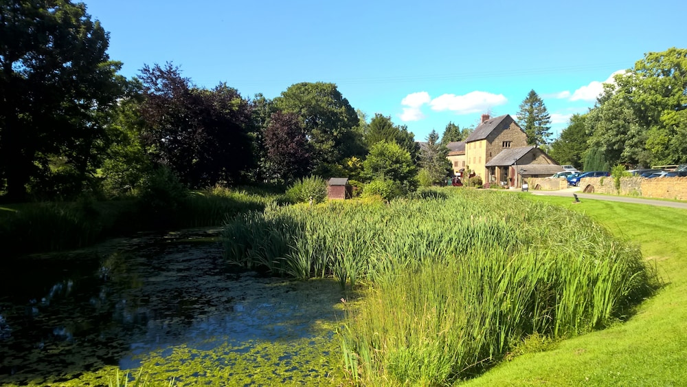 Haselbury Mill Hotel and Restaurant — hotel in Crewkerne