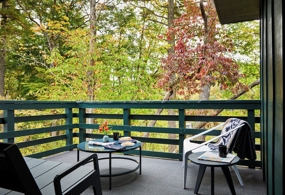 Skyline Lodge - photo 8