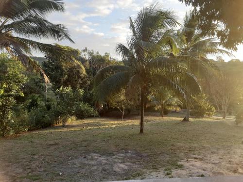 Abelha & Peixe Boi in Santo Amaro, Brasil
