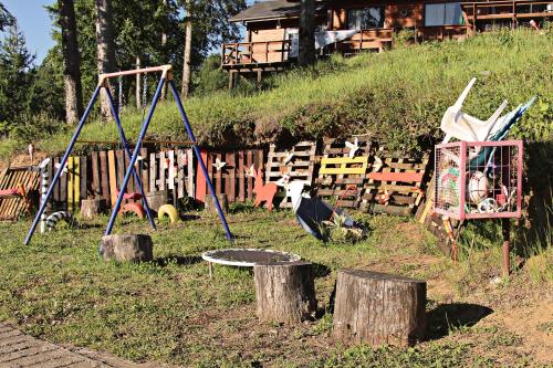 Cabañas Rapallo — Villarrica — photo 5