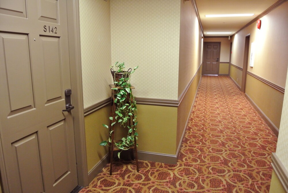 Cow Hollow Suites - photo 13