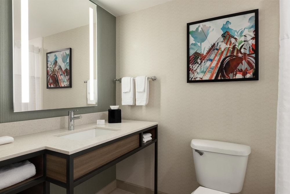 Hilton Garden Inn Atlanta Downtown - photo 38