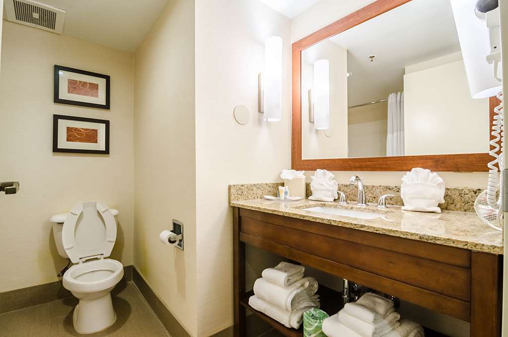 Comfort Suites Innsbrook Short Pump - photo 7
