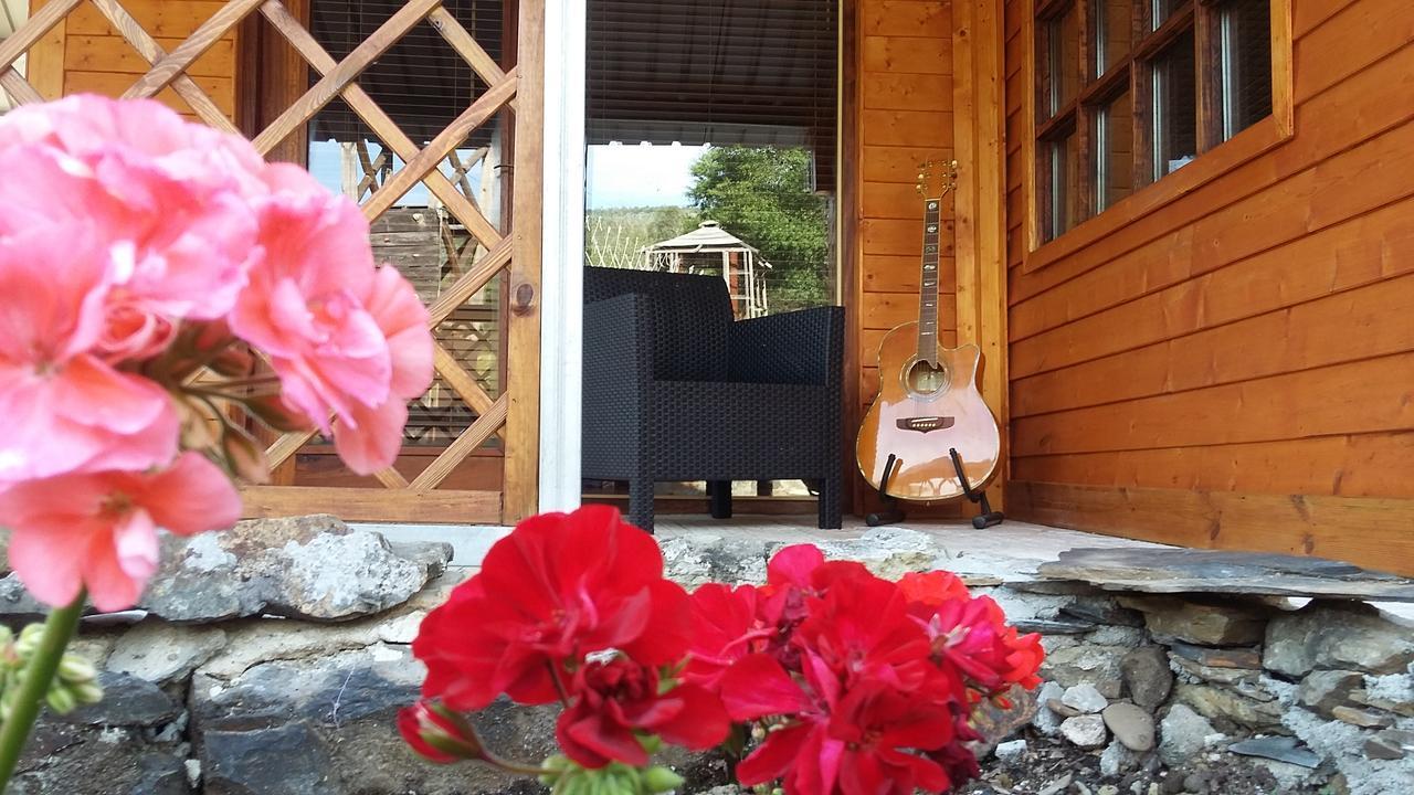 Casa Do Ourico — 4-Star Luxury Hotel in Figueiro Dos Vinhos, Portugal