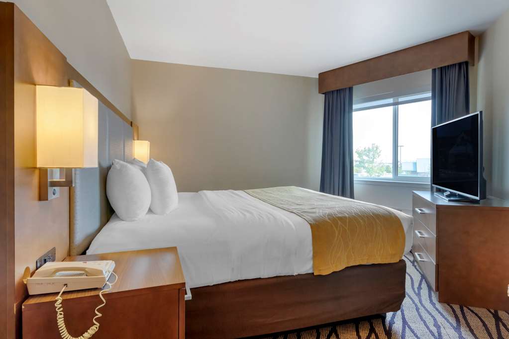 Comfort Inn & Suites Market Airport - photo 15