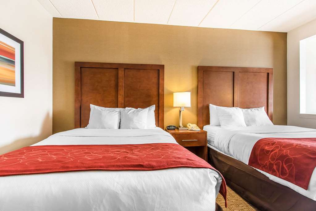 Comfort Suites Richmond - photo 17