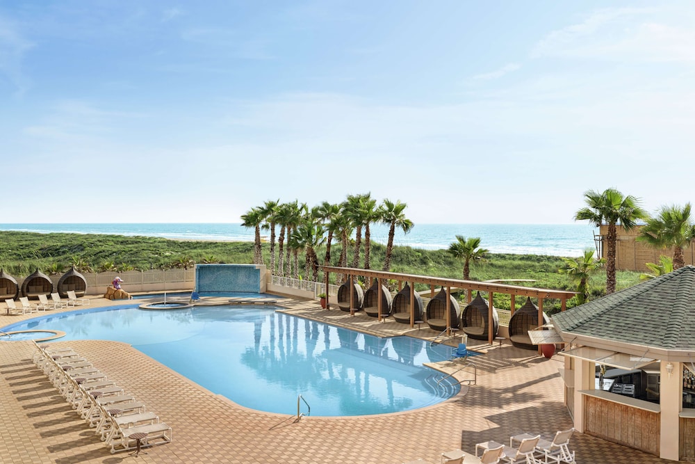 Hilton Garden Inn South Padre Island Beachfront - photo 33