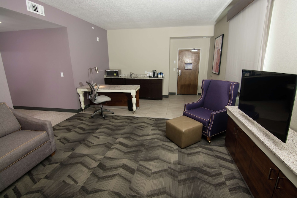 Hilton Garden Inn Tampa Suncoast Parkway - photo 22