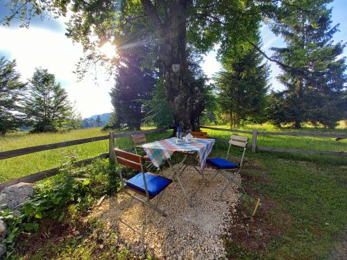Montecasa in Travnik, Bosnia and Herzegovina