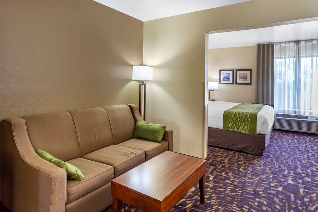 Comfort Inn & Suites North Aurora Naperville - photo 18