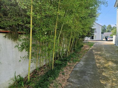 White villas in Batumi