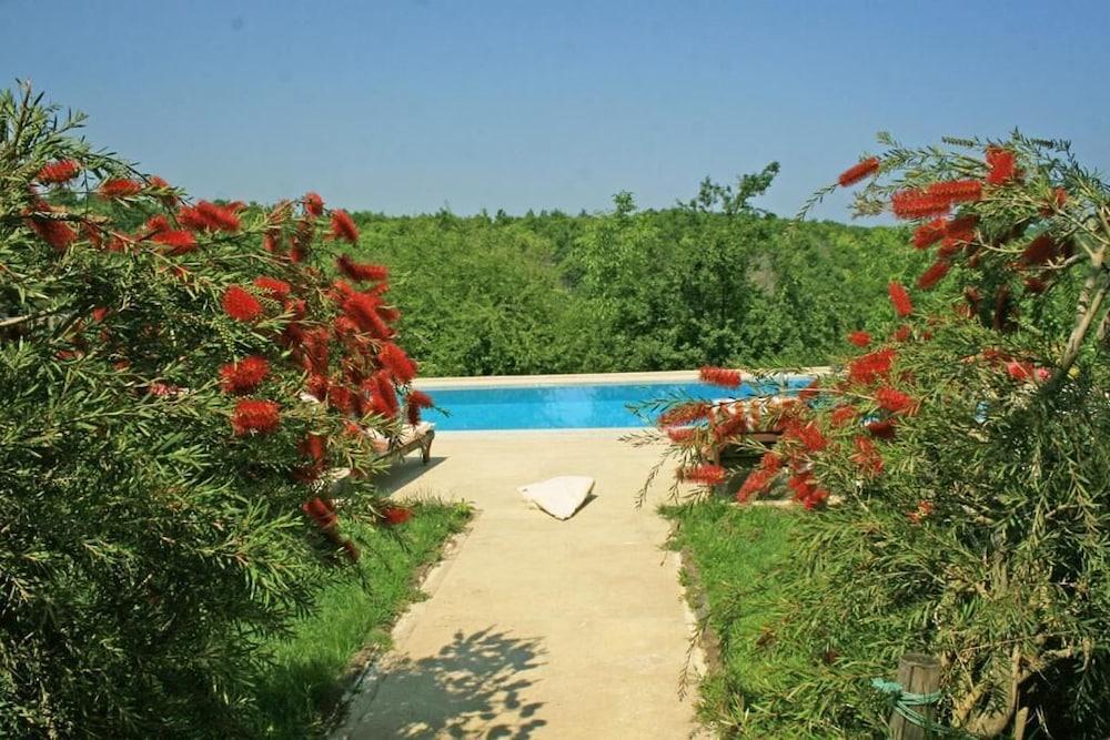 Agva Ormanevi Otel — Sile — photo 3
