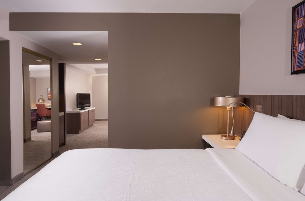 Hilton Garden Inn Atlanta Airport Millenium Center - photo 12