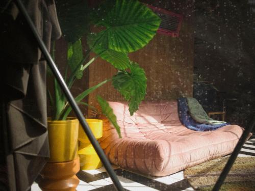 Stay Classy Domes — Otterlo — photo 2