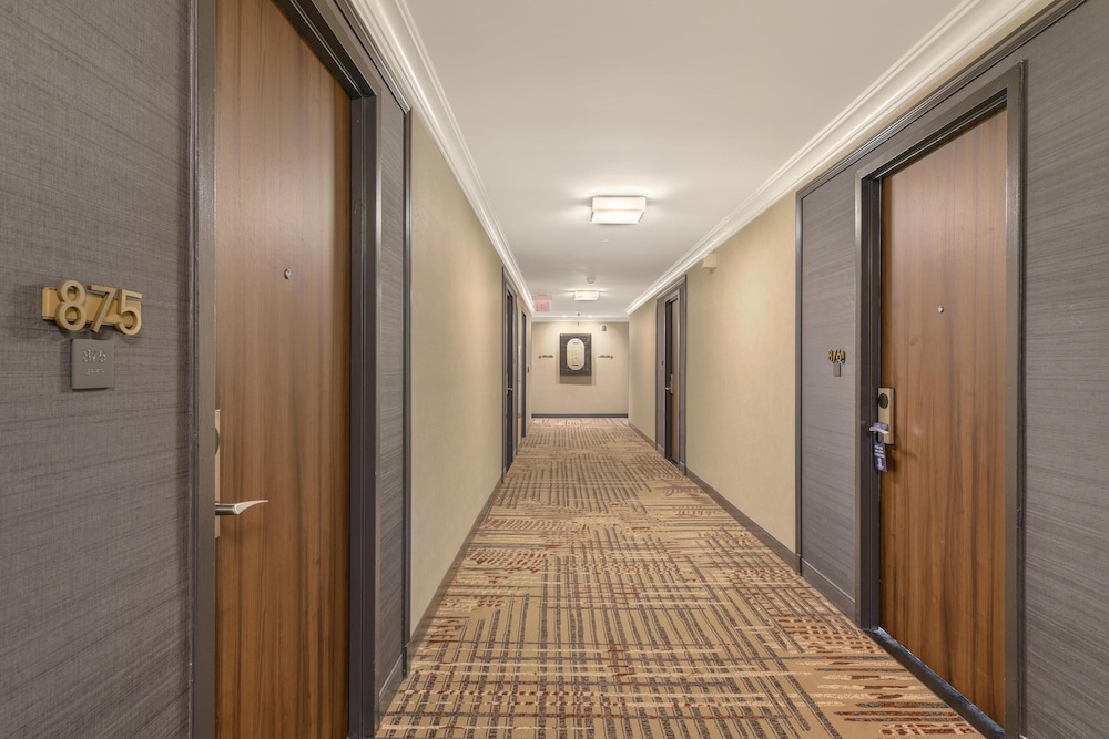 Capital Hilton - photo 107