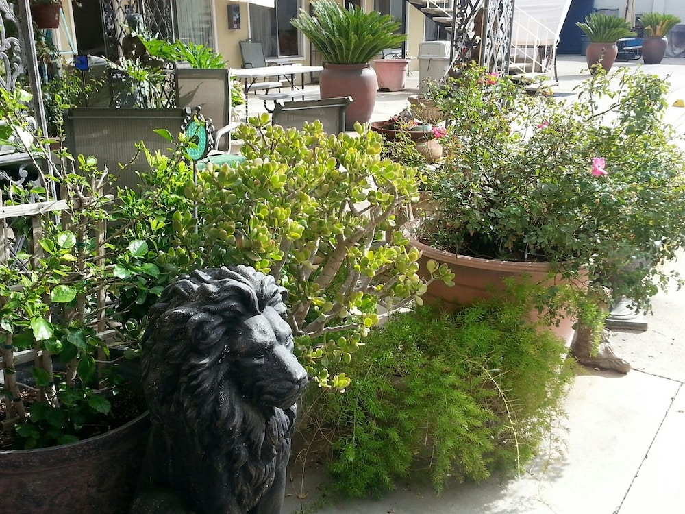 Colusa Riverside Inn - photo 16