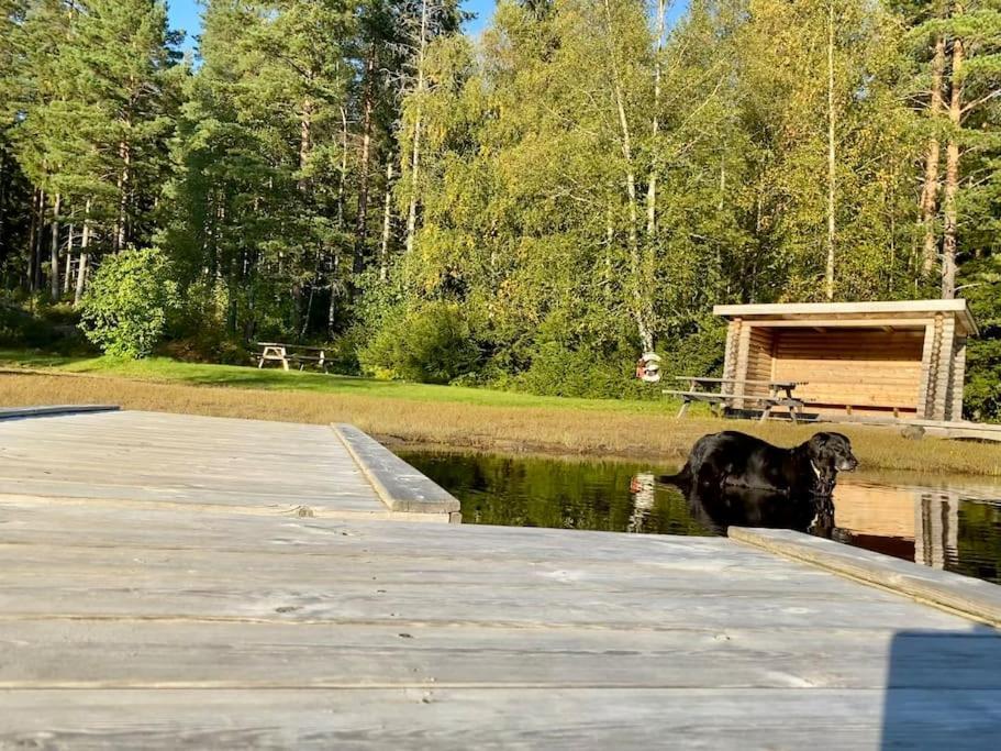 StugaNäraKungsberget mysig stuga med kamin grillkåta och vedbastu — hotel in Ockelbo