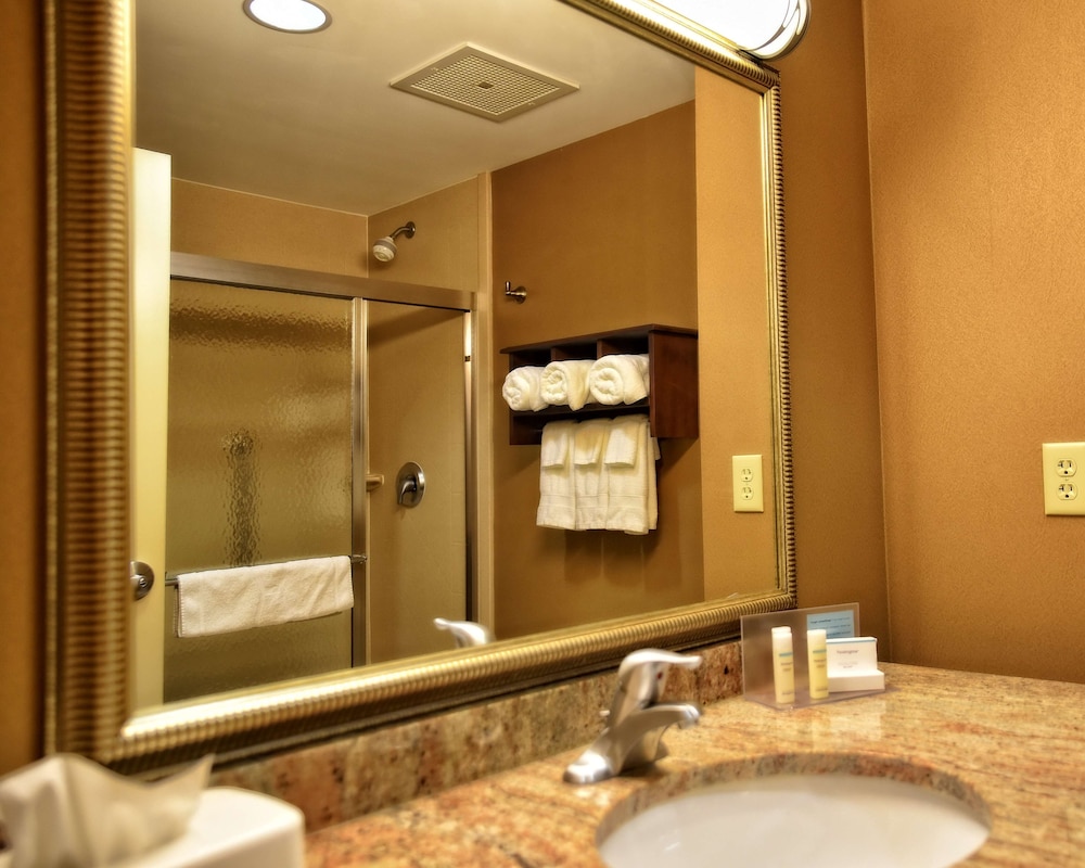 Hampton Inn Geneseo - photo 30