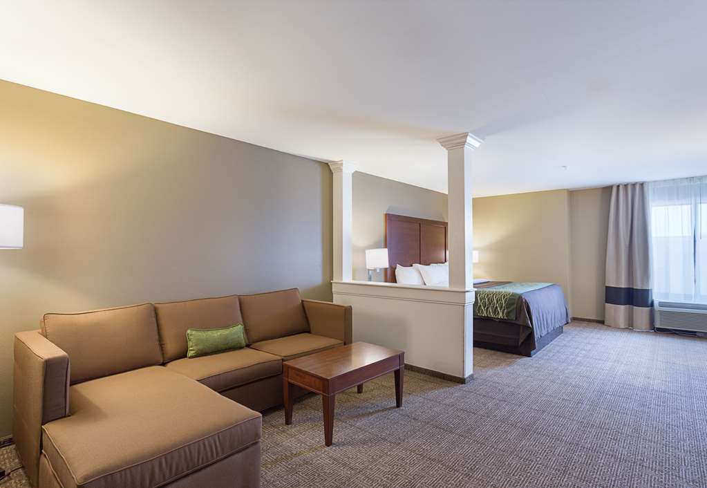 Comfort Inn & Suites Zachary - photo 38