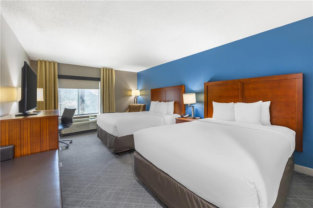 Comfort InnSuites ChattanoogaWest Lookout Mountain - photo 11