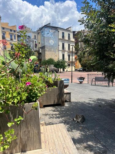 Barcaioli Home2 — Catania — photo 4