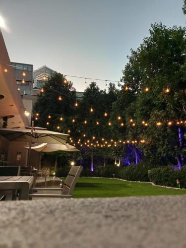 Ibis Mexico Alameda