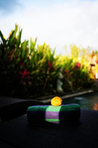 Panorama Paddy Paradise - last minute hotel in Ubud